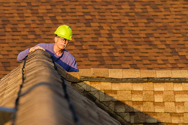 Roof Gutter Cleaning in Versailles, OH